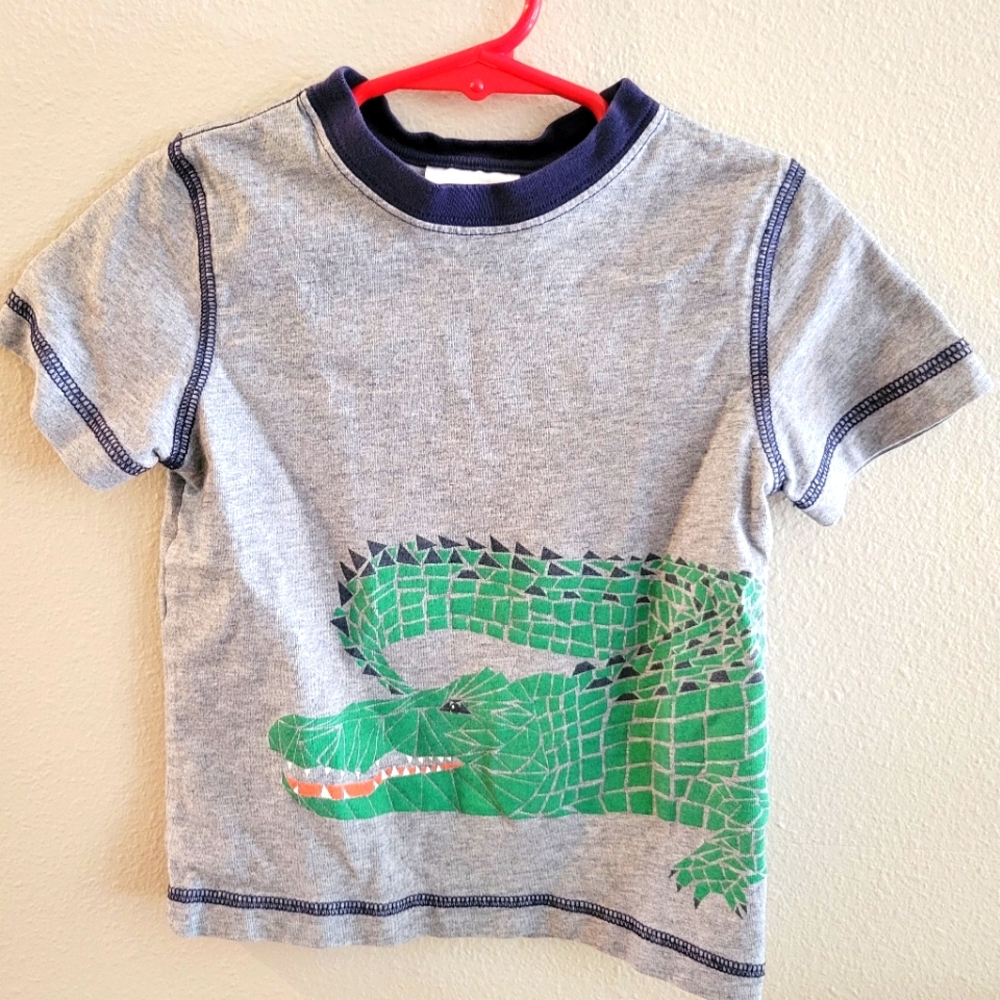 Hanna Andersson Size 100 Crocodile T-shirt